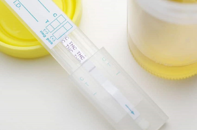 How to pass a urine drug test for THC